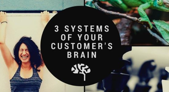 3 Systems of your customer’s brain